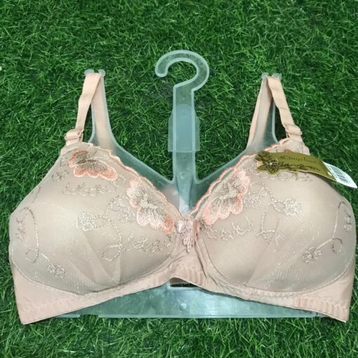 Comfort and Stylish Ladies' Bra in Malai Fabric Foam - Image 2